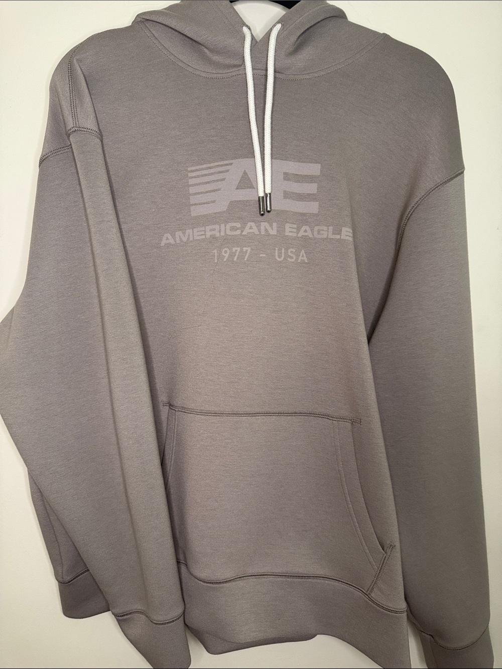 American Eagle Outfitters Taupe/Gray Pullover Hoodie with Logo